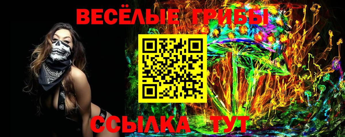 ГАШ Ногинск